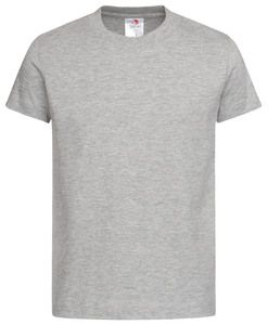 Stedman STE2200 - Klassisk ekologisk T-shirt med rund hals för barn Grey Heather