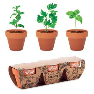 GiftRetail MO6145 - FLOWERPOT Terracotta set med 3 örtskålar Wood