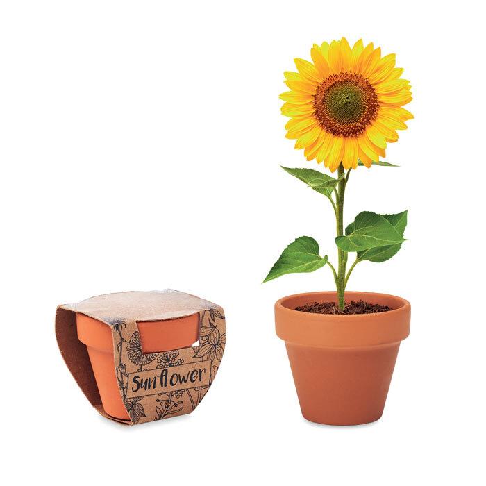 GiftRetail MO6147 - SUNFLOWER Terracotta skål 'sunflower'