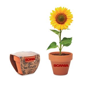 GiftRetail MO6147 - SUNFLOWER Terracotta skål 'sunflower' Wood