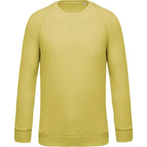 Kariban K480 - Ekologisk raglanärmad tröja för män