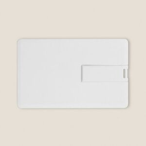 EgotierPro 2911216GB - USB-KORT 16GB